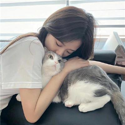 玻璃之花与坏掉的世界